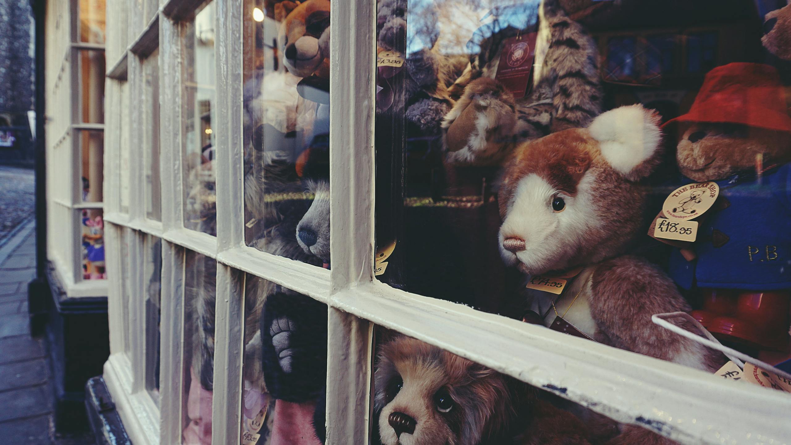 A delightful showcase of plush toys in a Norwich store window, capturing the essence of whimsy.